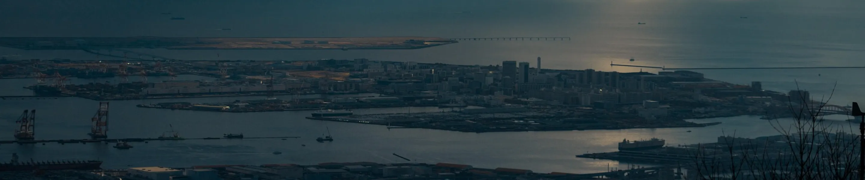 事業紹介のイメージ画像